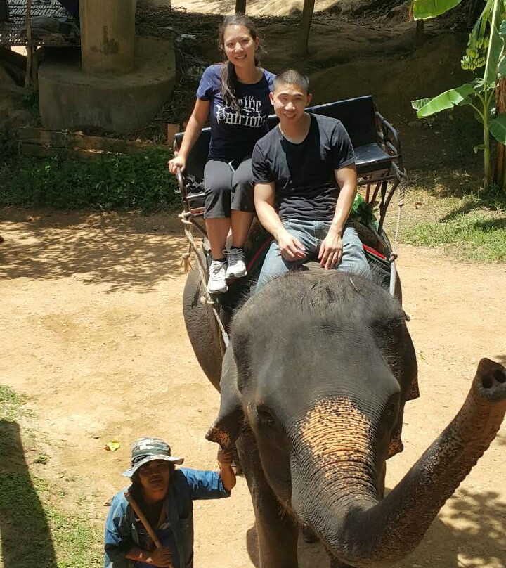 Paramount Travel - Private Day Tours景点图片