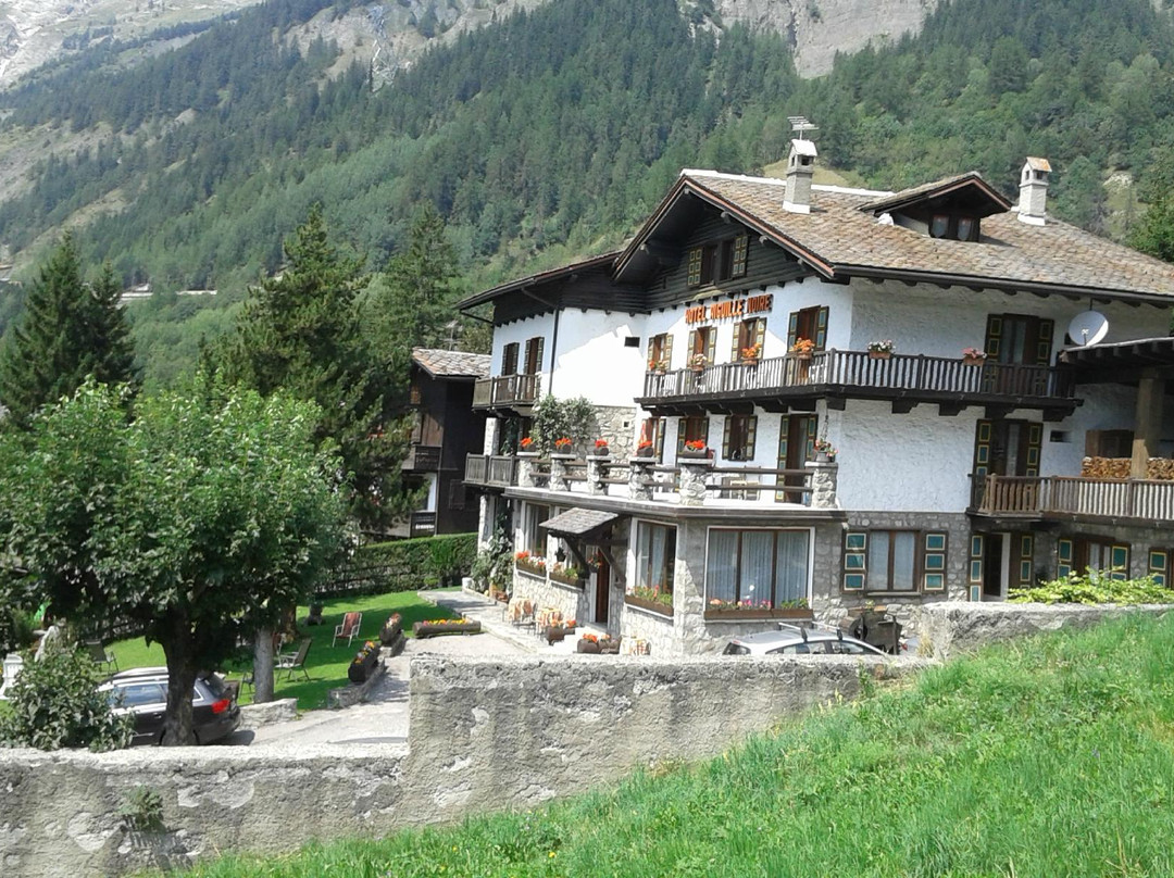 Entreves酒店住宿-Hotel Meuble Aiguille Noire