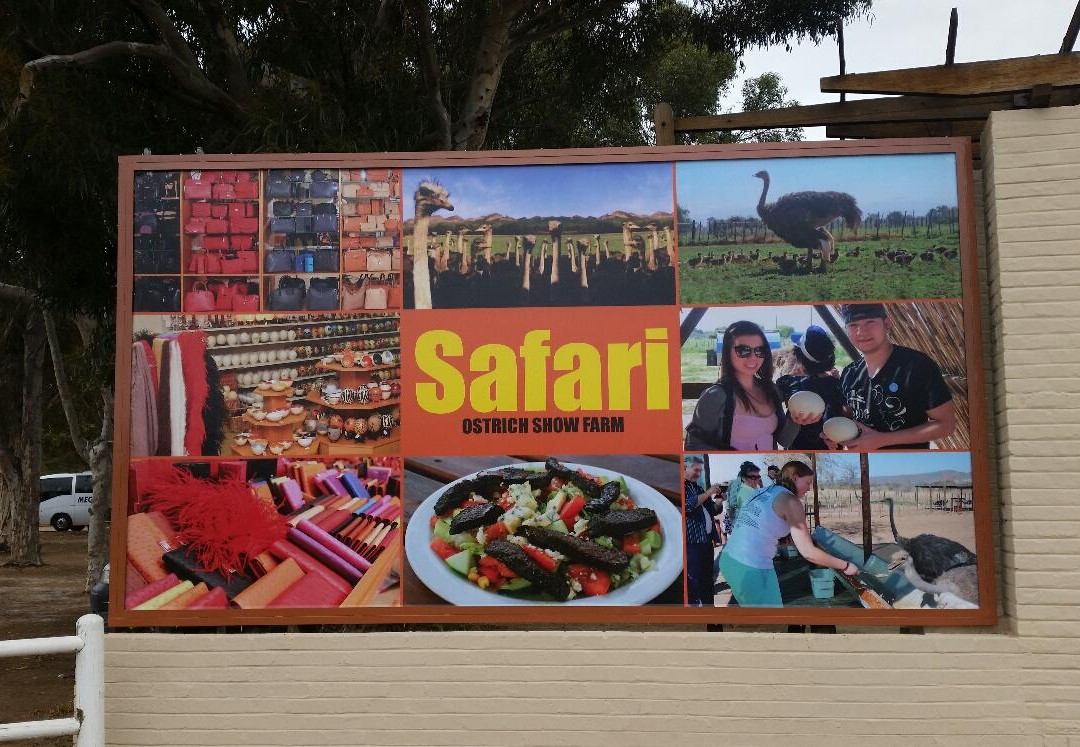 Safari Ostrich Farm-奥兹洪必去景点