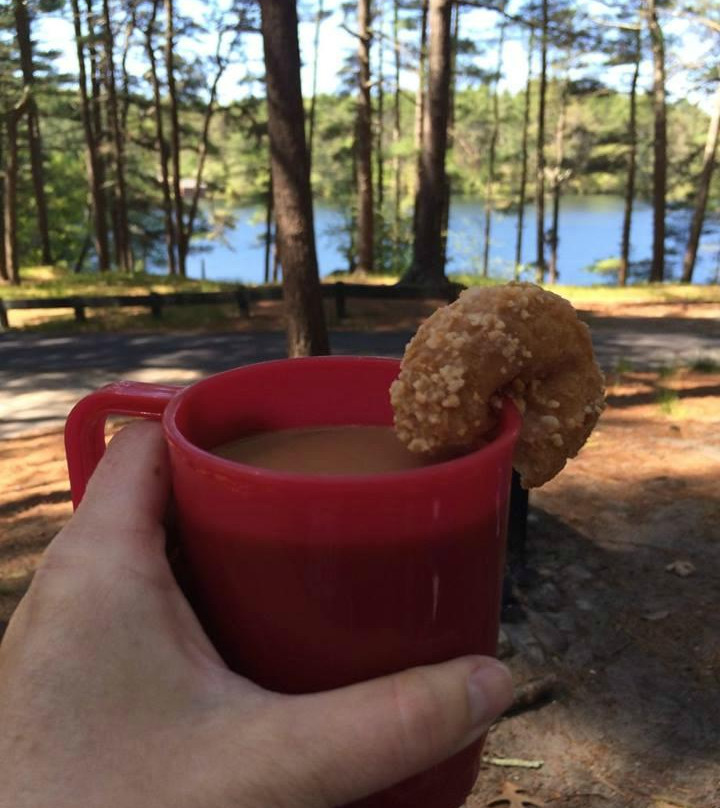 Myles Standish State Forest-普利茅斯必去景点
