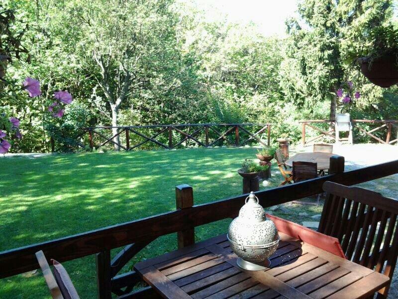 Forest View B&B-客卧