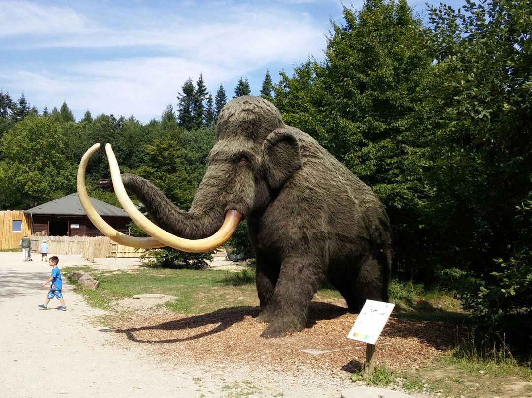 Dinosaurierpark Teufelsschlucht景点图片