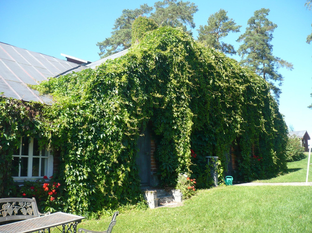 Rönnvik Winery-Palkane必去景点