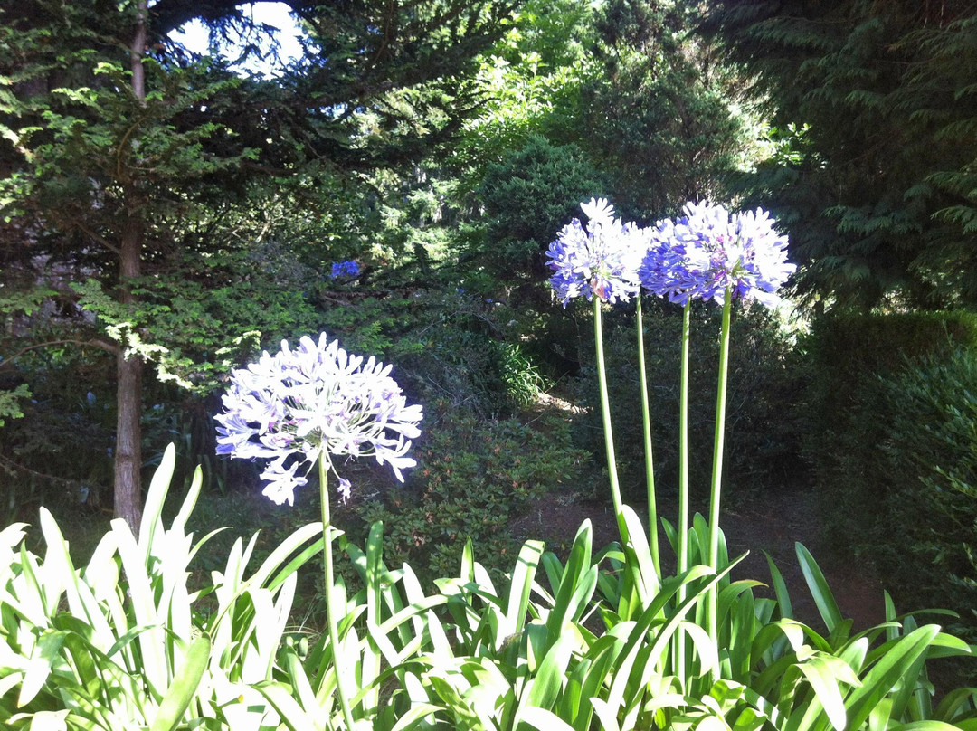 Quinta da Junta Garden-Santo Antonio da Serra必去景点