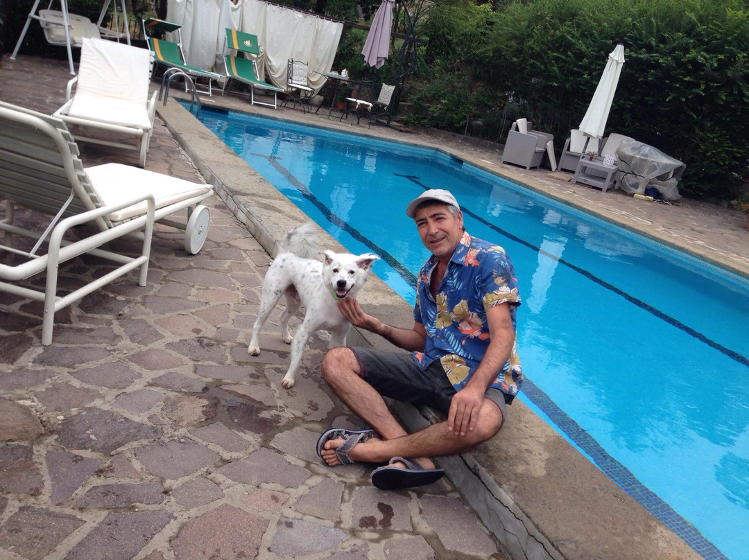 B&B  La Pineta主图