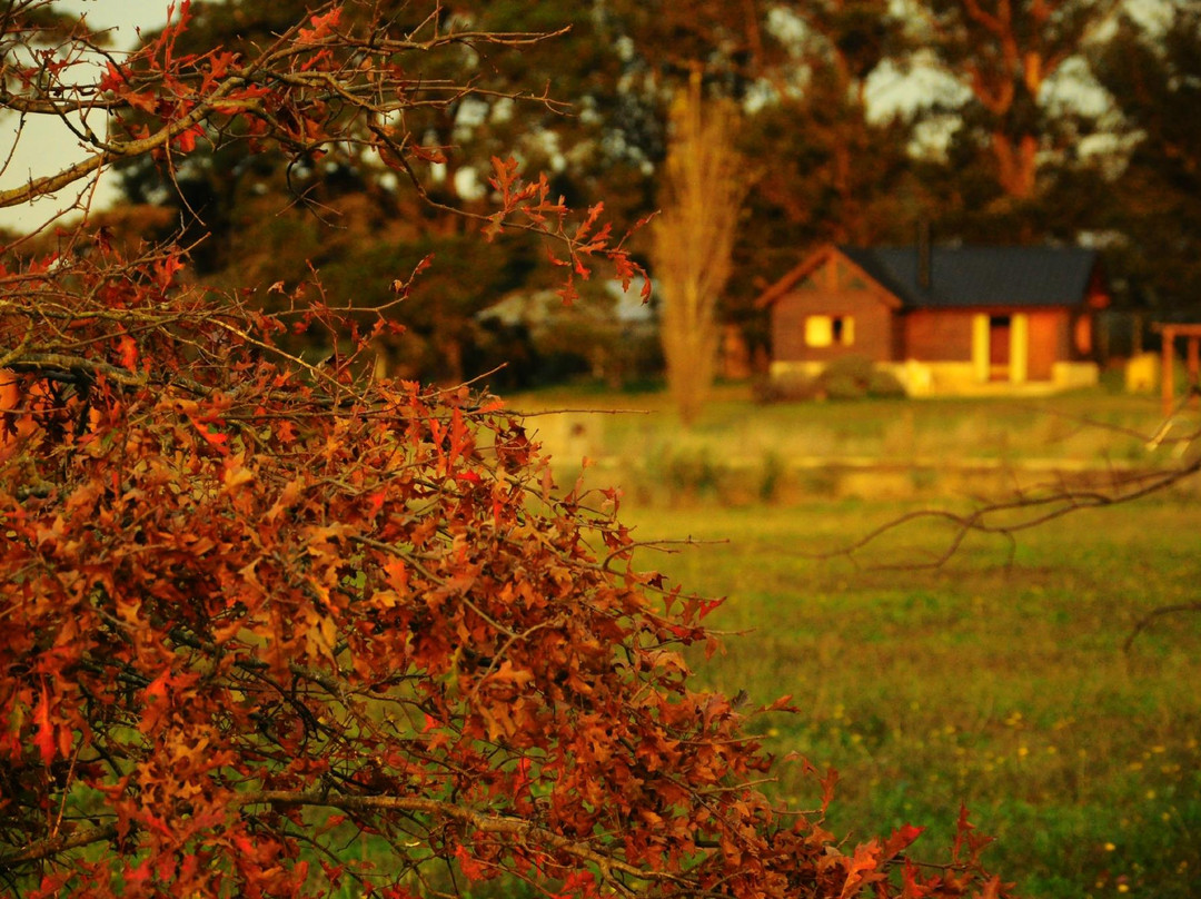 Cabanas del Yarquen主图