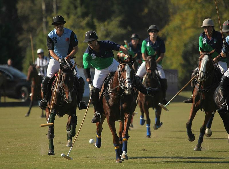 Polo Play景点图片