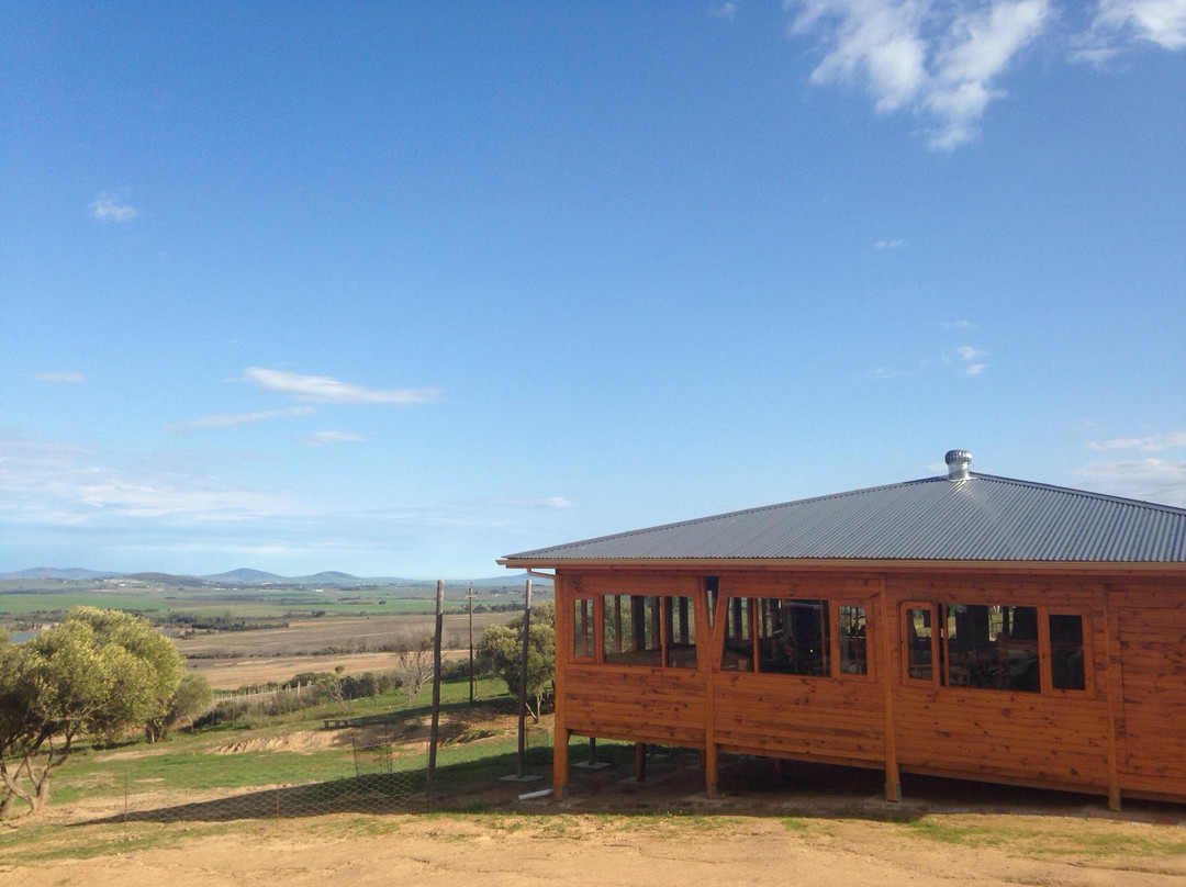 The Alpaca Loom Coffee Shop & Weaving Studio-Suider Paarl必去景点