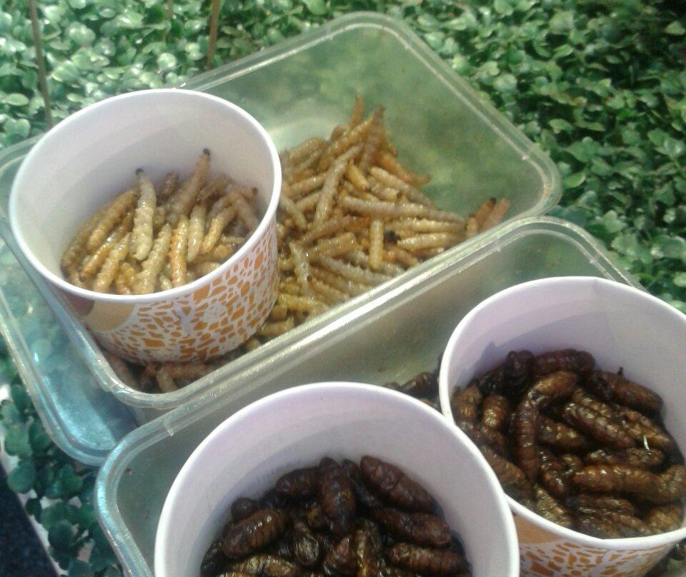 兴顺国际观光夜市-沈阳市必去景点