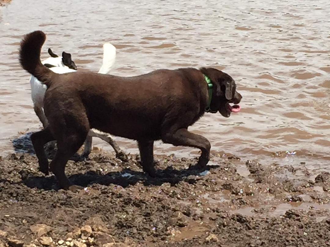 Veteran's Memorial Park-斯德伯克必去景点