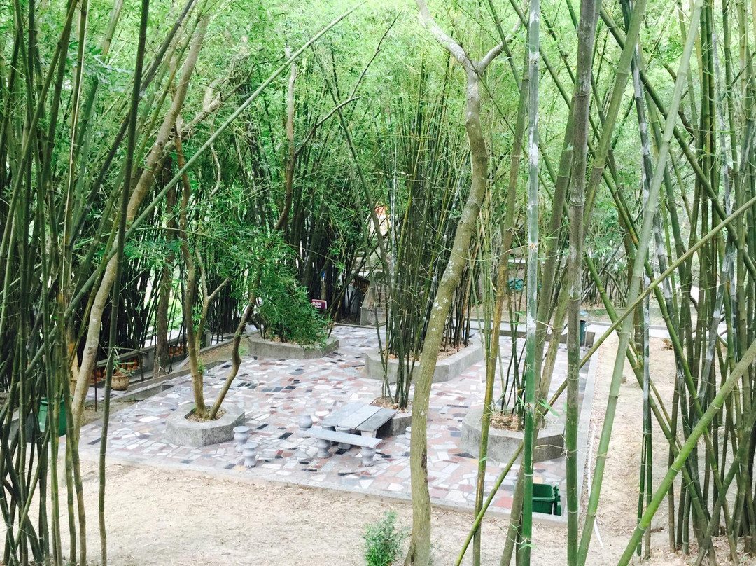 巨峰禅寺-汕头市必去景点