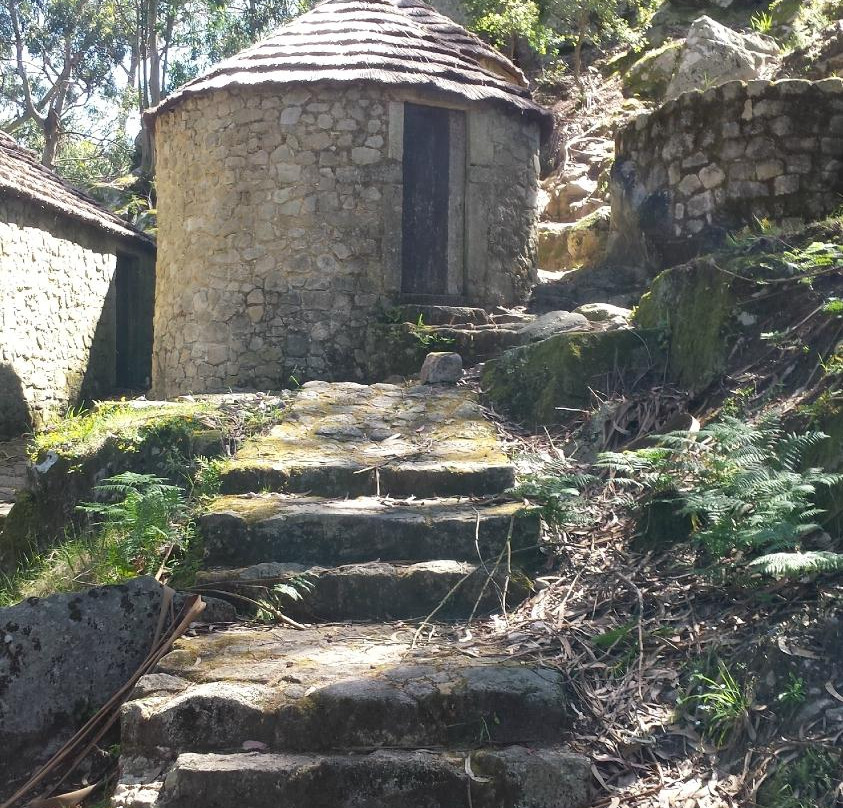 Castro de S. Lourenco景点图片