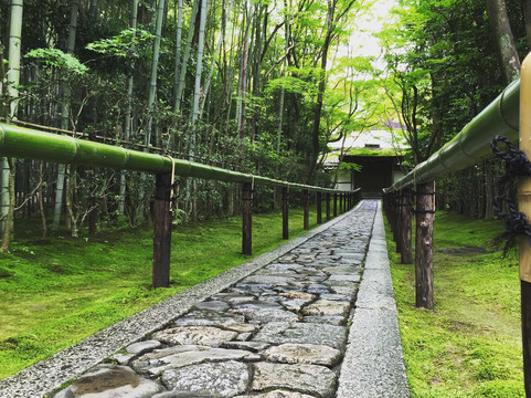 Noru-京都市必去景点