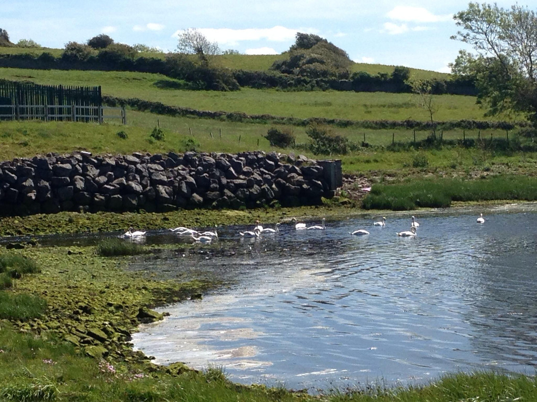 The Abbey Mill-Ballyshannon必去景点