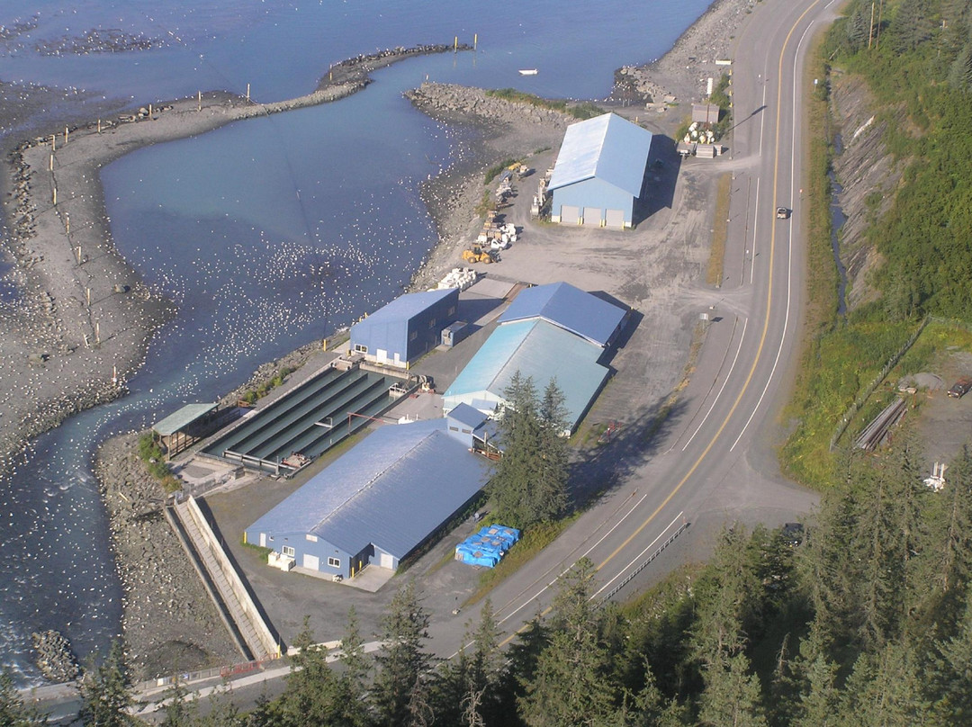 The Solomon Gulch Hatchery-瓦尔迪兹必去景点