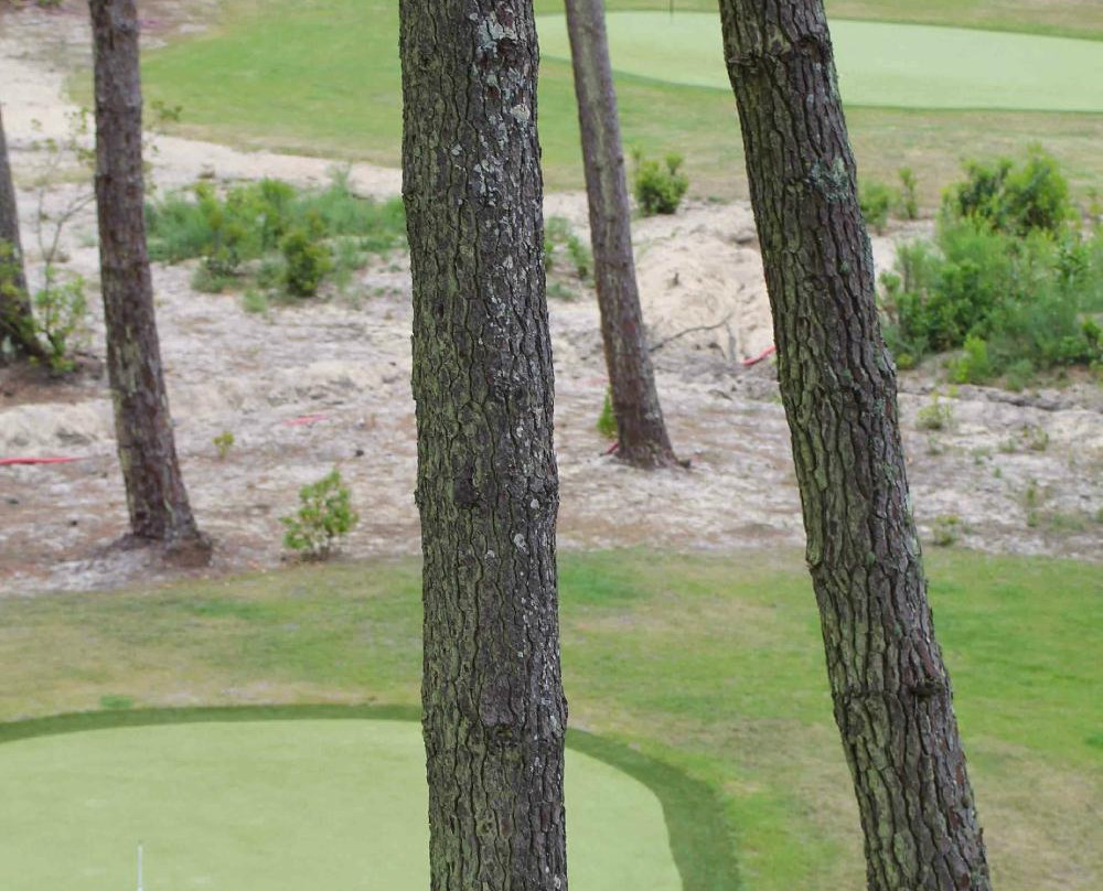 Golf du Cap Ferret-莱格卡弗尔雷必去景点