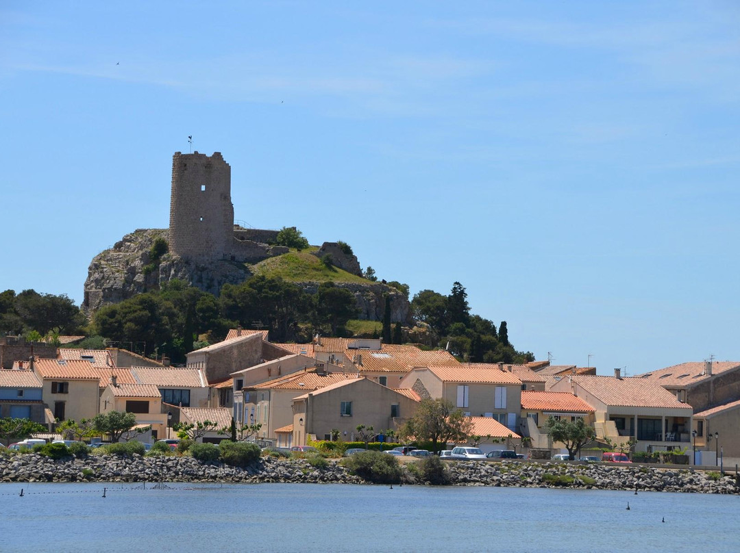 Gruissan旅游景点-Tour Barberousse