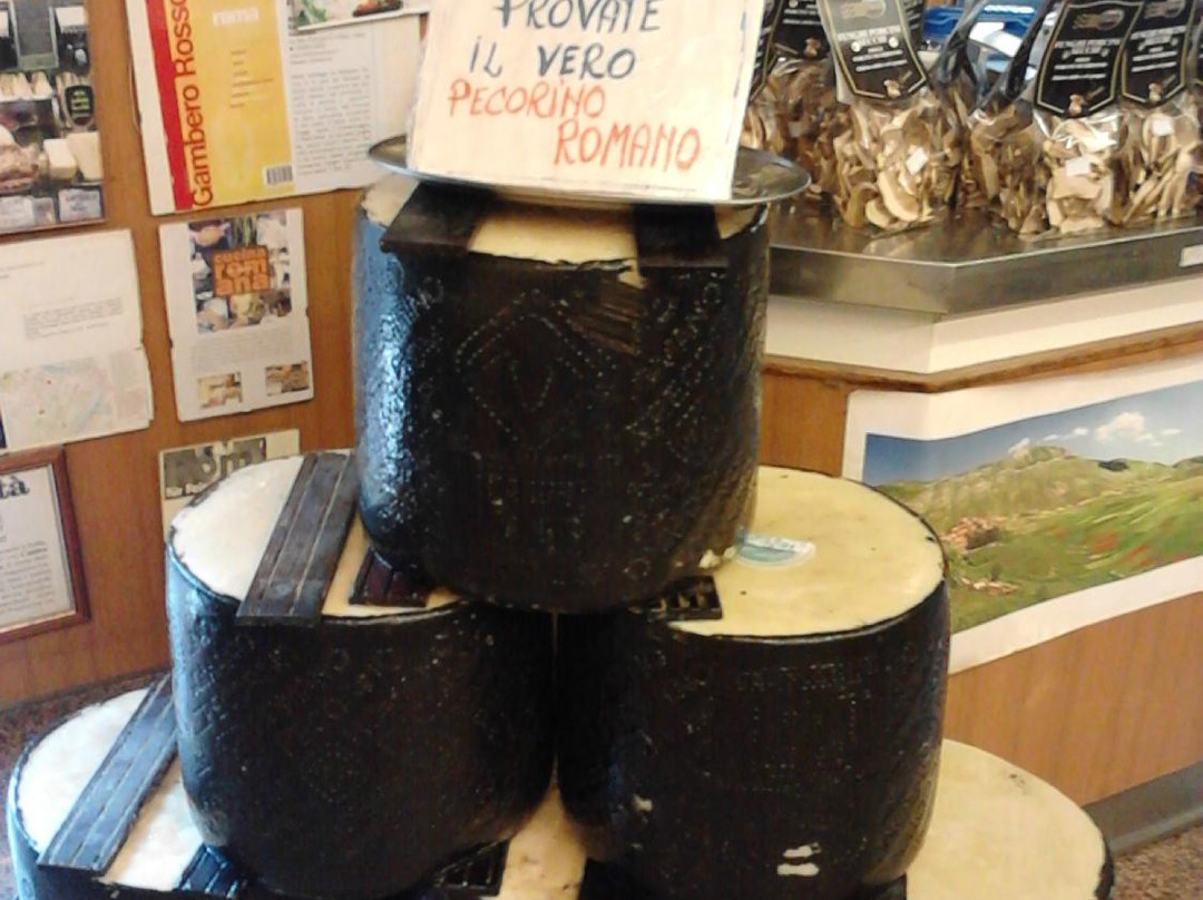 Antica Caciara Trasteverina-罗马必去景点