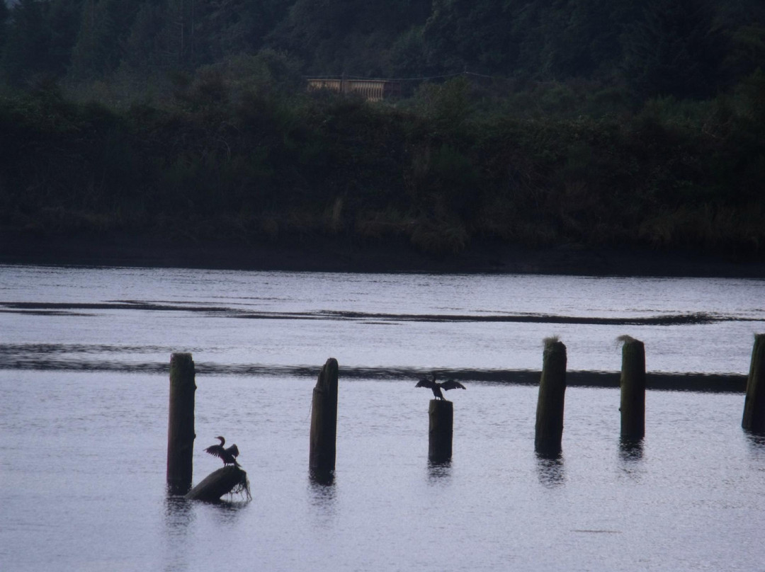 Waldport Kayak Shack Rentals-Waldport必去景点