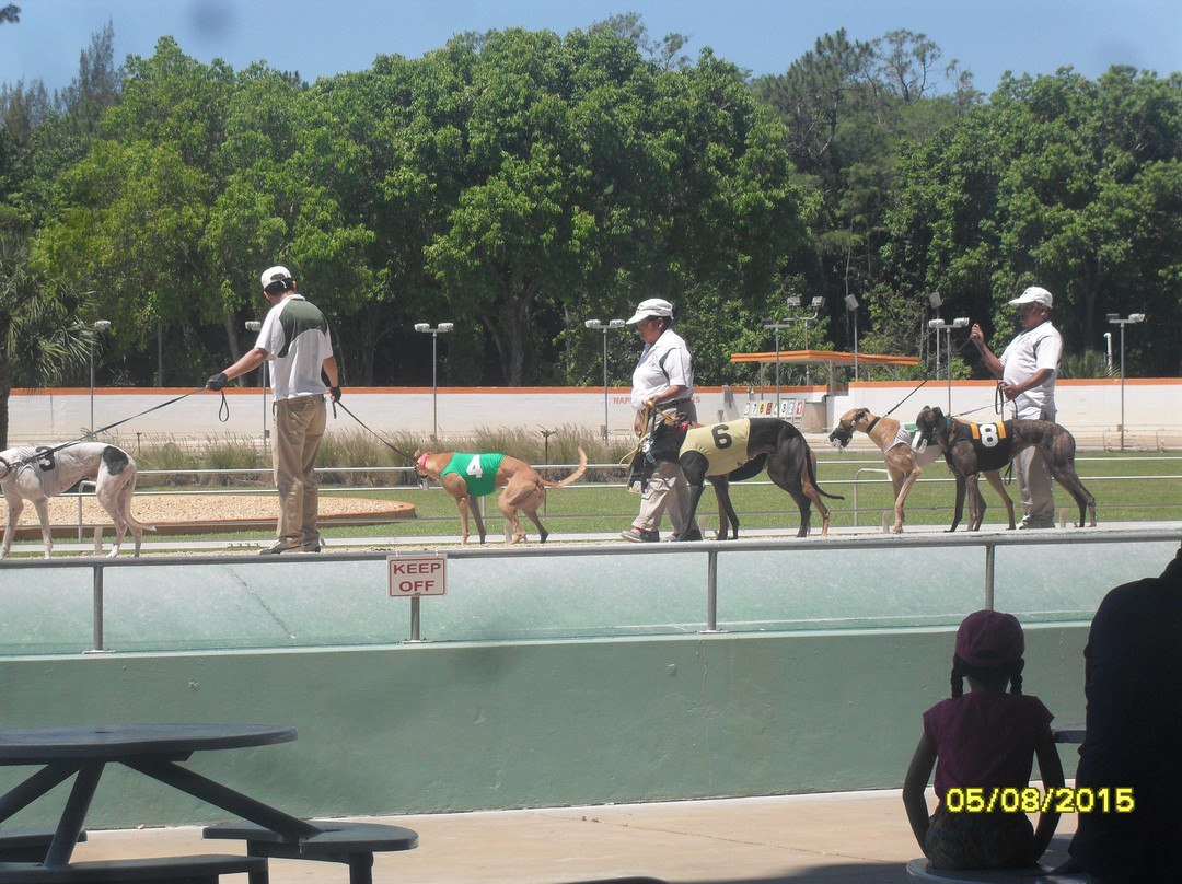 Naples Fort Myers Greyhound Track-博尼塔斯普林斯必去景点