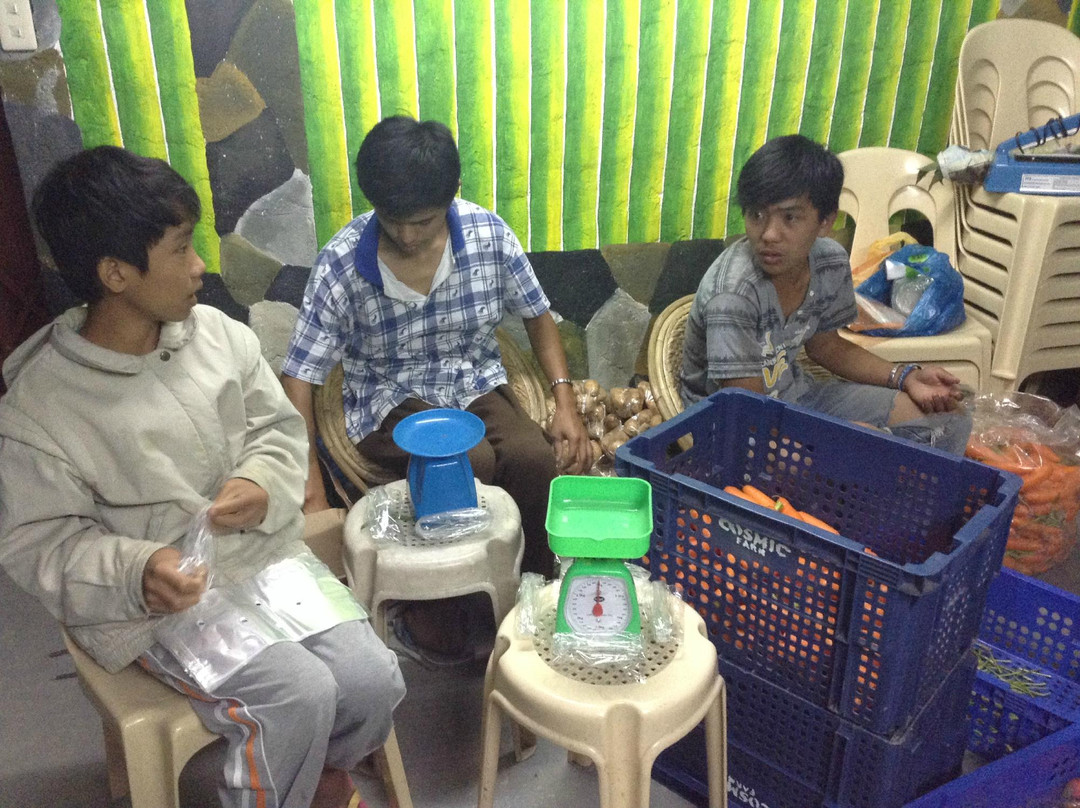 Cosmic Farm-碧瑶必去景点