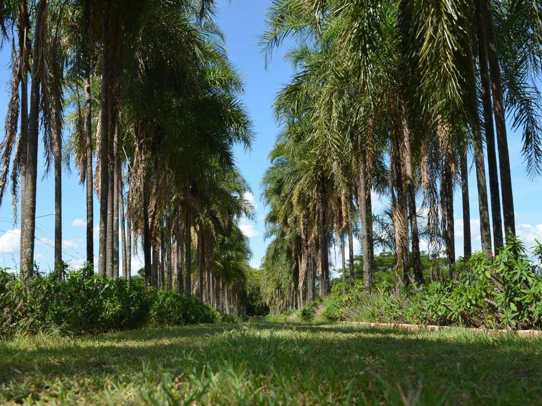 Miguelopolis酒店住宿-Paineiras Hotel Fazenda