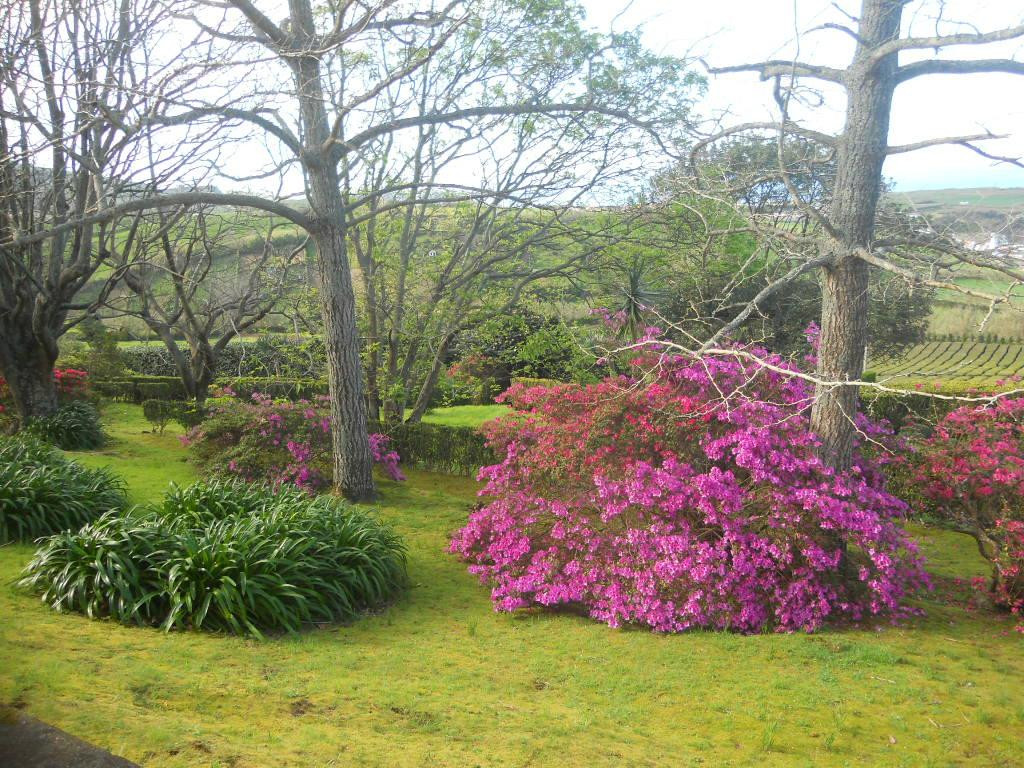 Azores Magic Tours-Rabo de Peixe必去景点