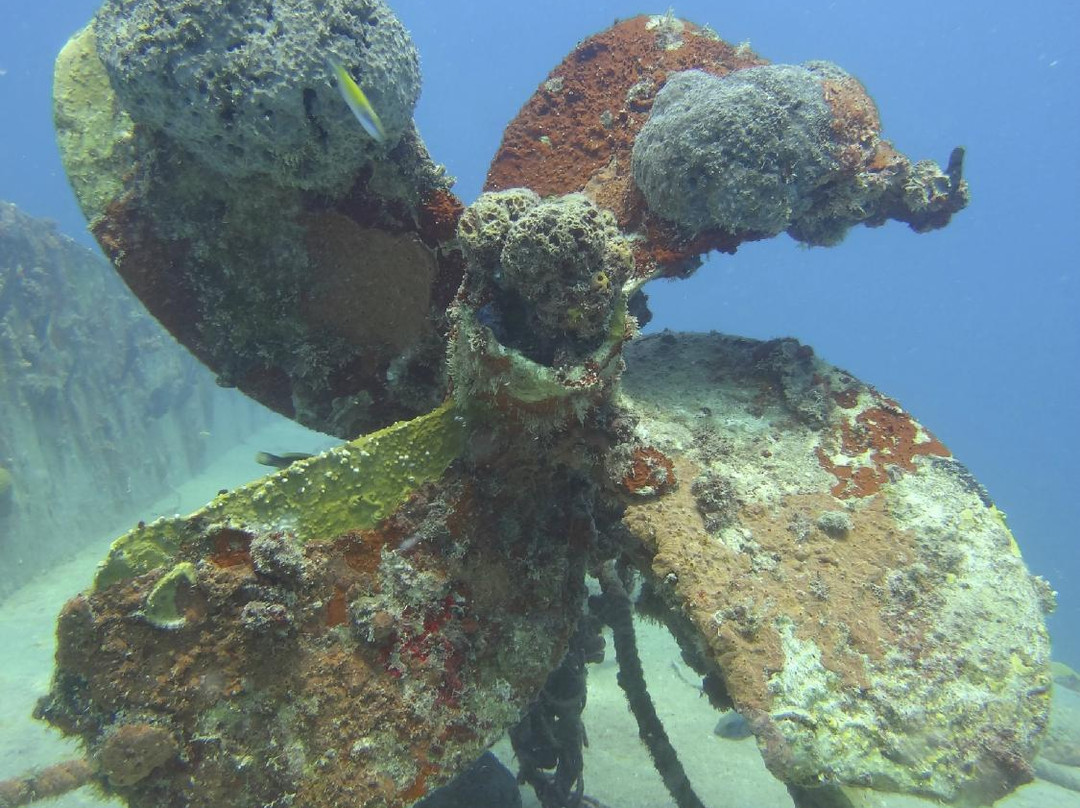 La Bulle Diving Center-居斯塔维亚必去景点