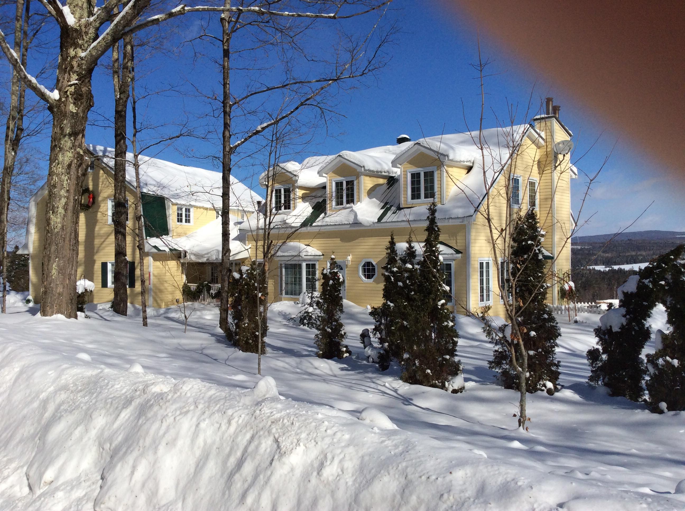 Three Bee's Guest House-官方