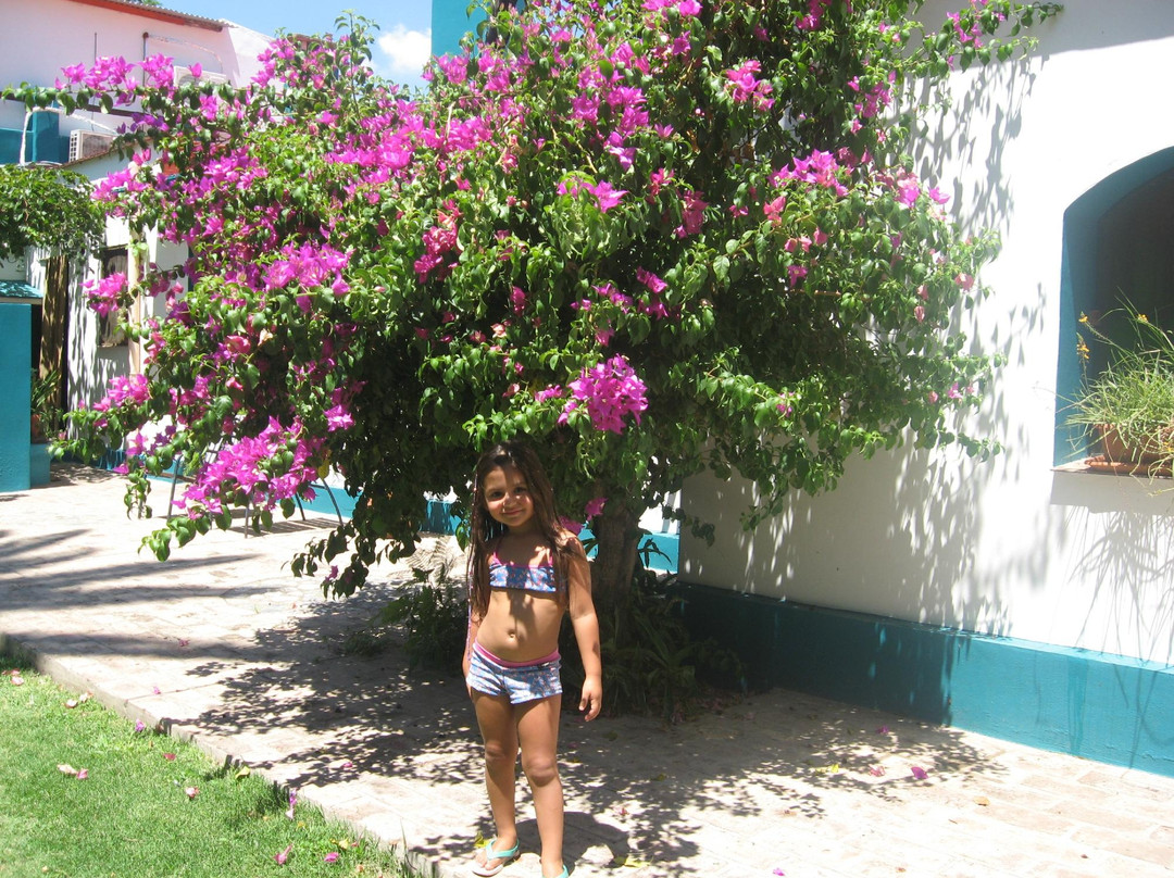 Hosteria Villa Luz主图