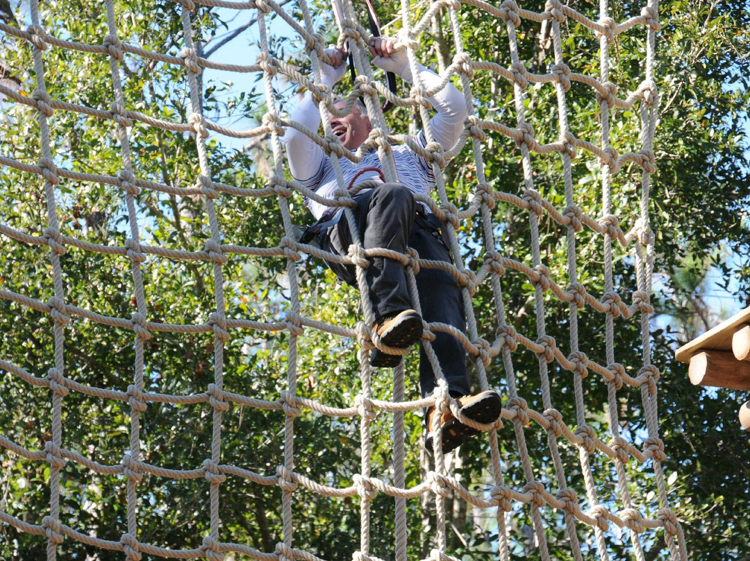 Orlando Tree Trek Adventure Park景点图片