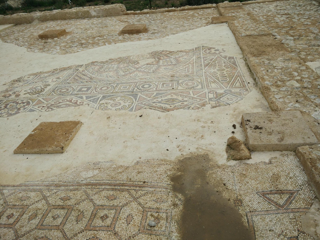 Shoham Forest Park-Shoham必去景点