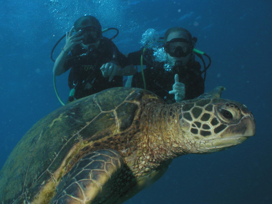 In2Scuba Diving Maui Dive Co.-拉海纳必去景点