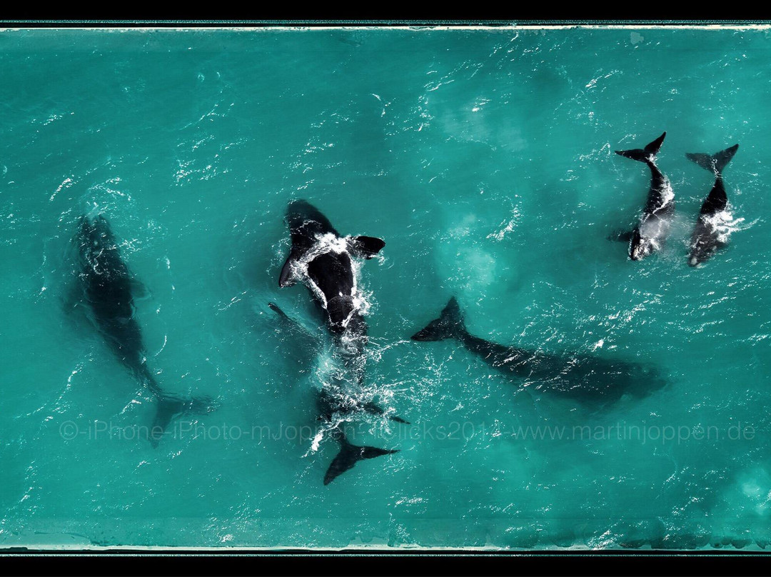 African Wings - Day Trips-卡里登必去景点