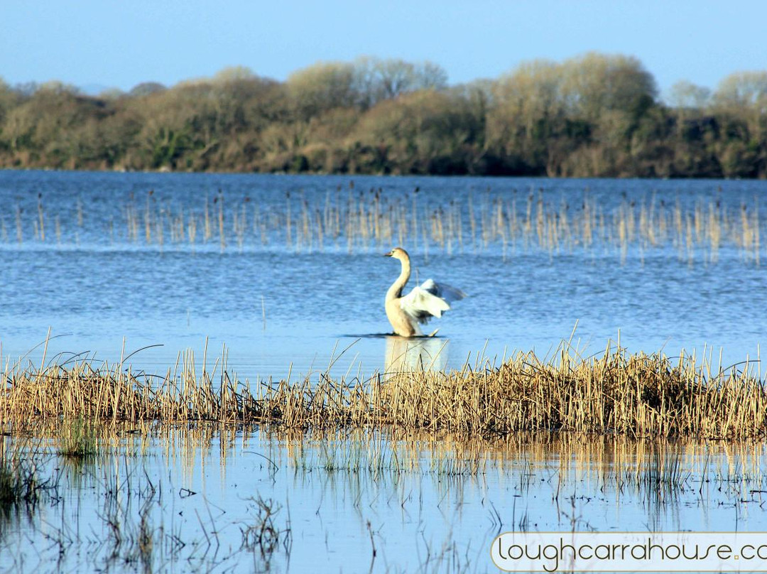 Lough Carra House主图