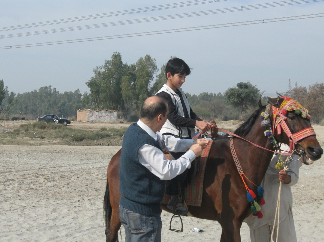 Chenab River Bank-Multan必去景点
