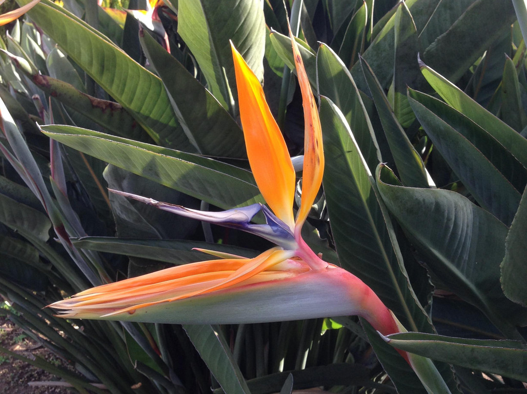 Branxton House Motel主图