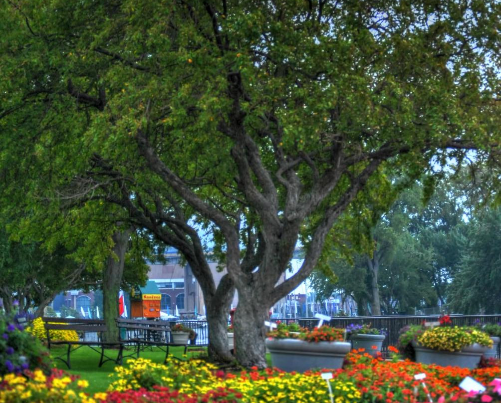 Erie Basin Marina Gardens景点图片