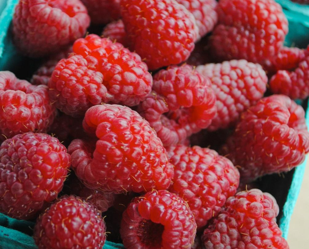 Dondero Orchards-South Glastonbury必去景点