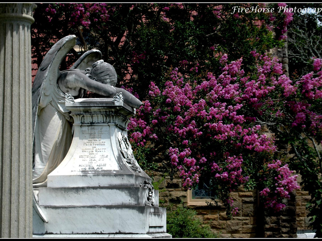 Scottsville Cemetary-Scottsville必去景点