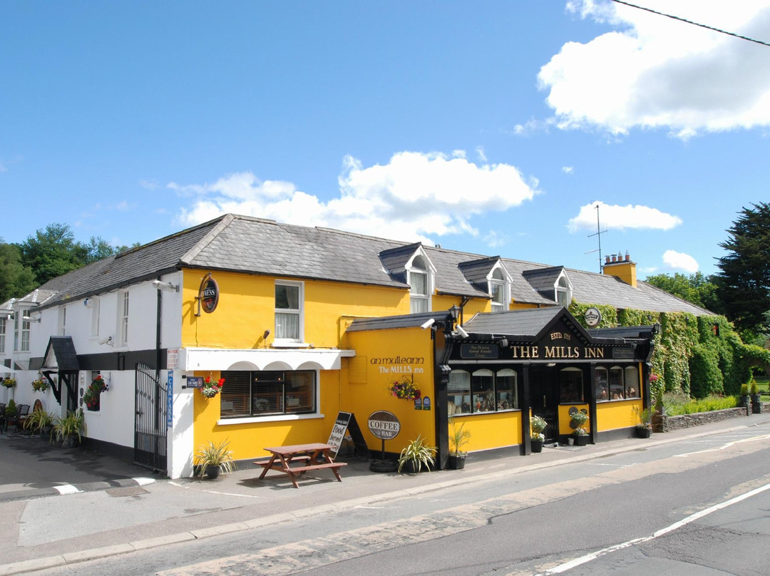 Macroom酒店住宿-Mills Inn