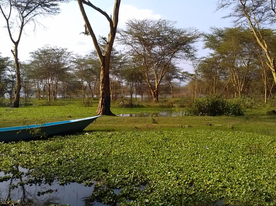 Lake Naivasha-Rift Valley Province必去景点