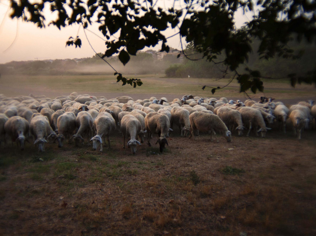阿庇亚古道公园-罗马必去景点