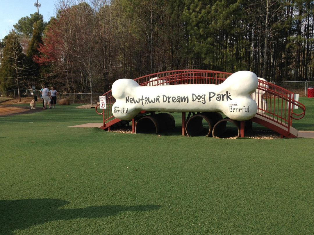 Newtown Park-约翰斯克里克必去景点