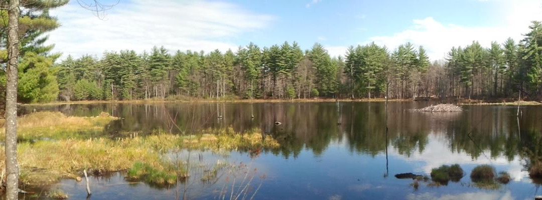 Beaver Brook Reservation景点图片