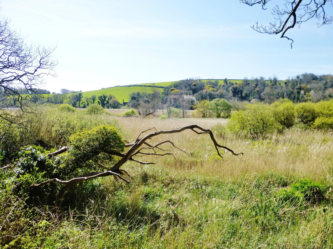 Slapton Ley Field Centre-Slapton必去景点