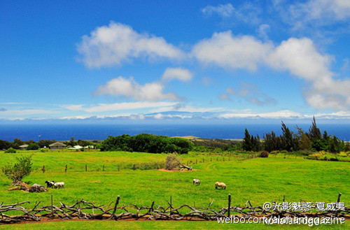 可哈拉岛-夏威夷大岛必去景点