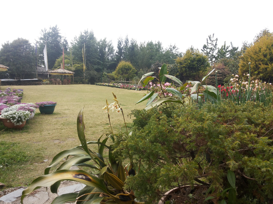 Seven Hills Village Resort主图