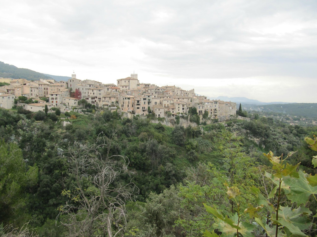 Tourrettes-sur-Loup - Village Medieval景点图片