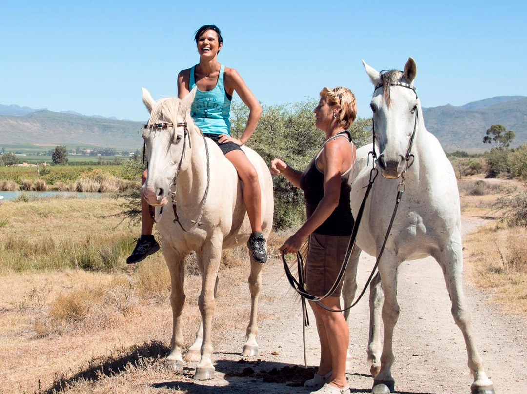 Nerina Guest Farm-Robertson必去景点